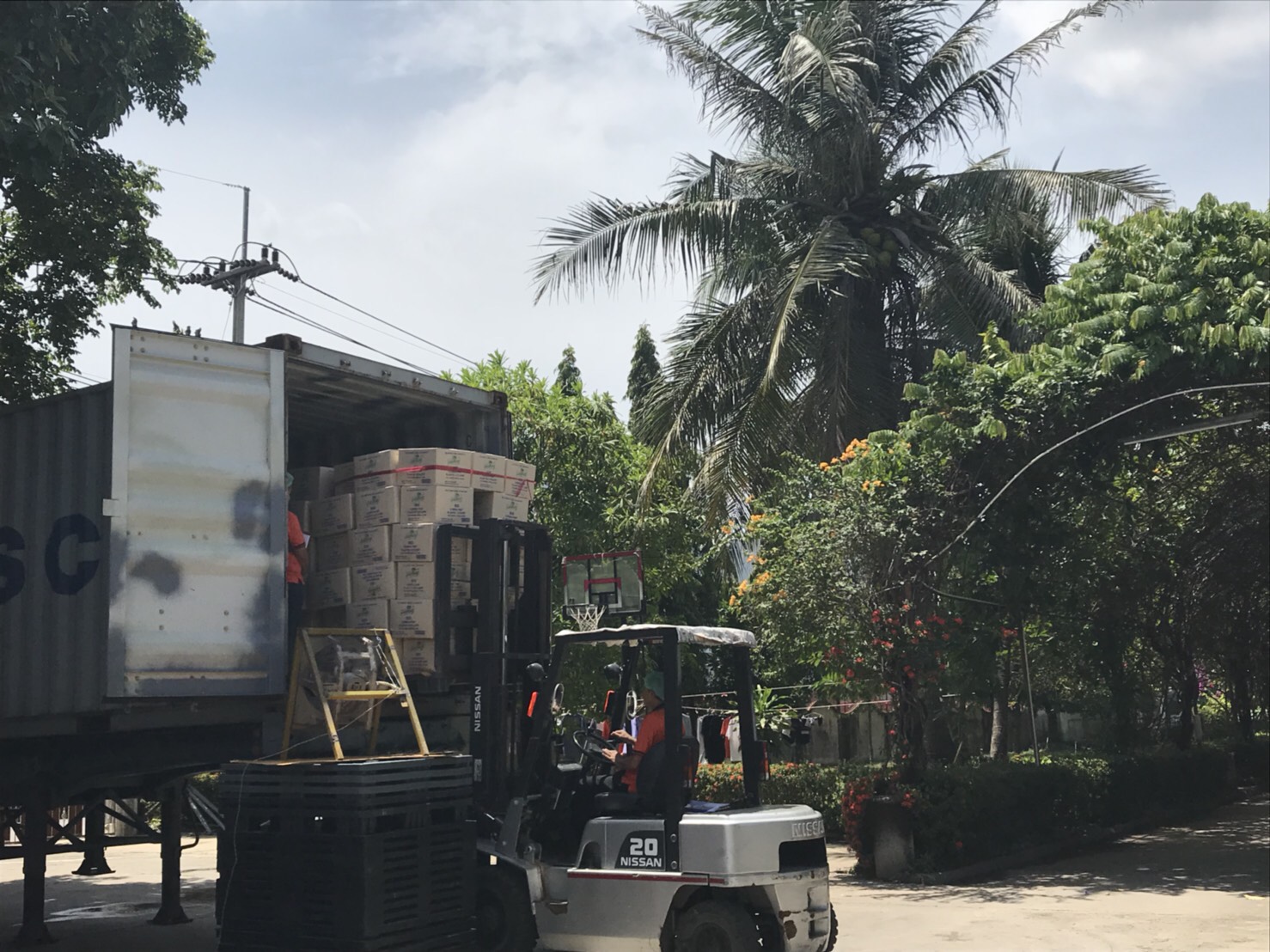 Sample image with waves effect.